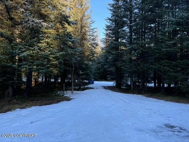 3042 Mendenhall St, Valdez, AK 99686 - photo 1