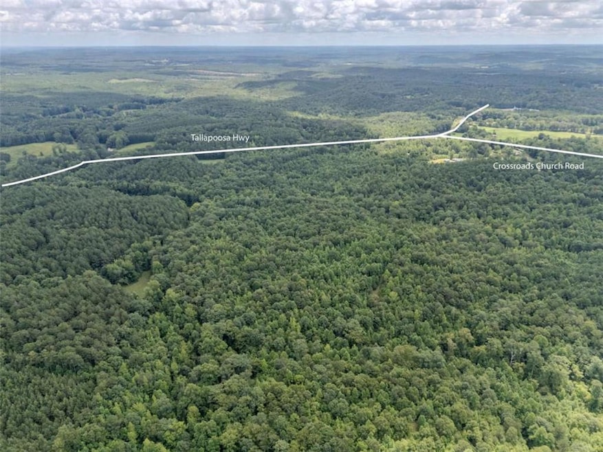 0 Cross Roads Church Rd unit 7629947, Buchanan, GA 30113 - photo 1