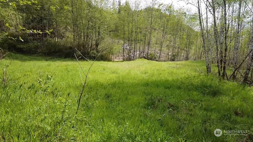 0 Germany Creek Rd unit NWM2032245, Longview, WA 98632 - photo 1