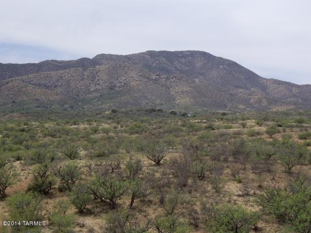IMGP9778