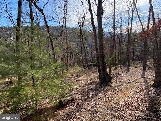 26851 Wv-55, Wardensville, WV 26851 - photo 1