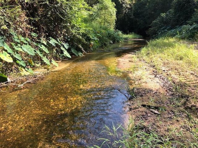 0 Highway 48 unit 130656, Tylertown, MS 39667 - photo 1