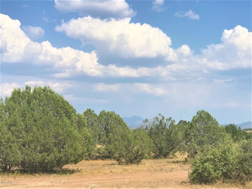 45210 N Honeysuckle Rd, Ash Fork, AZ 86320 - photo 1