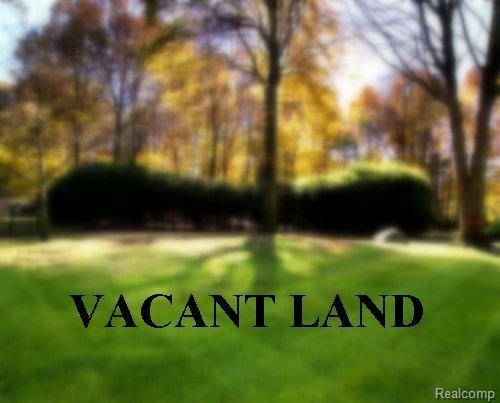 vacant land 111.jpg