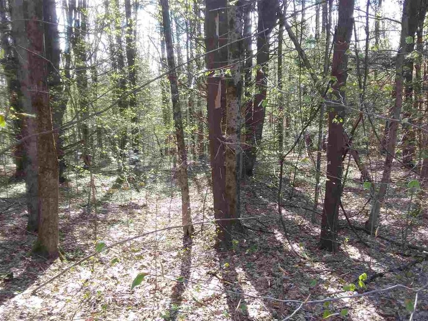 63 Watson Rd, Winchester, NH 03470 - photo 1