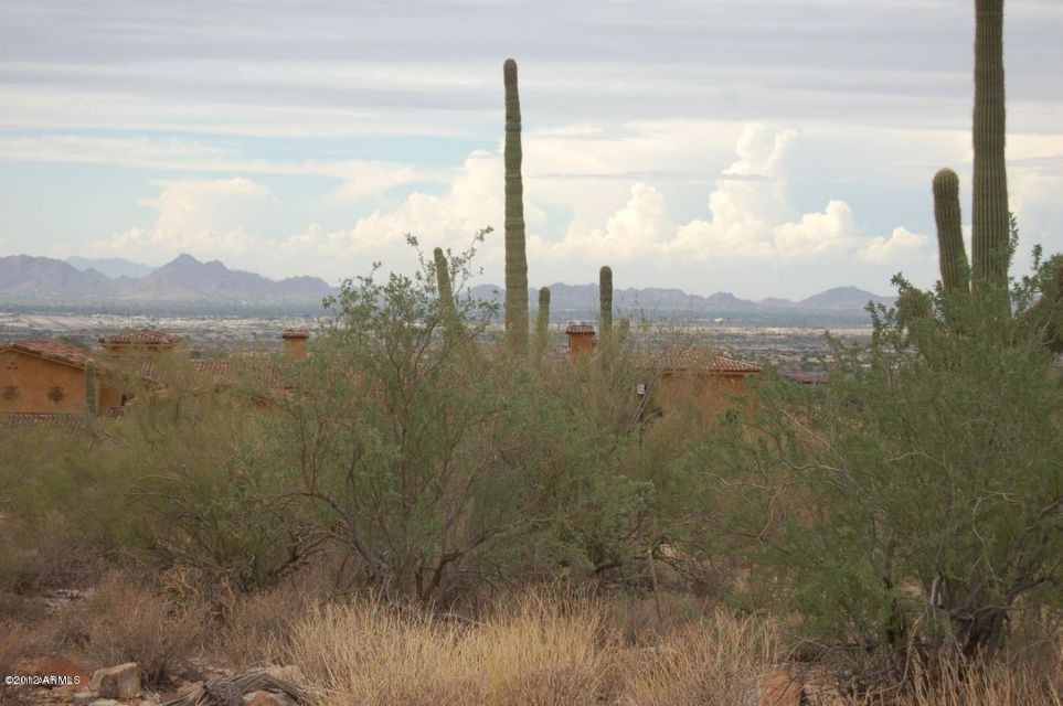 Silverleaf 4