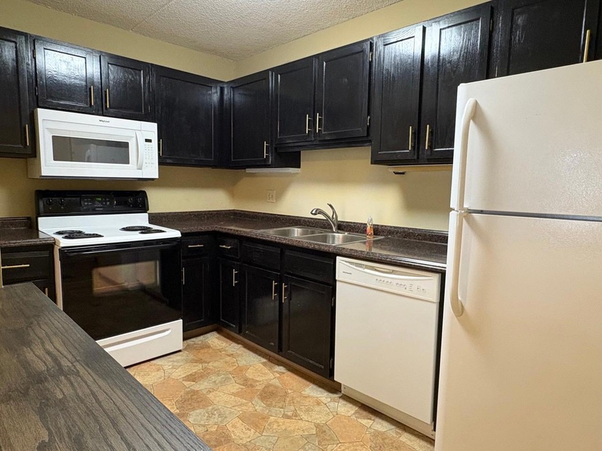 Unit 215 Kitchen 2.jpeg