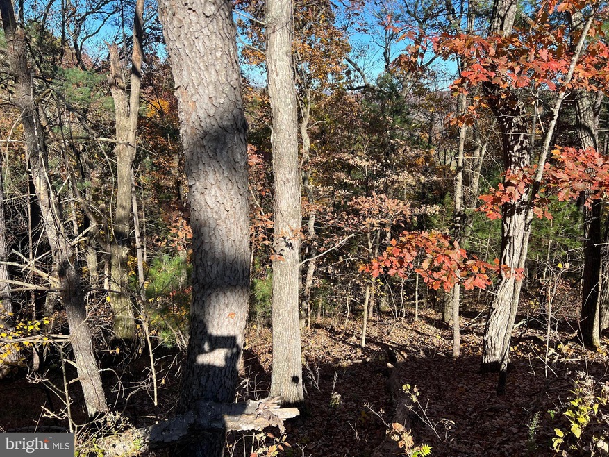 0 Hoods Point Rd, Basye, VA 22810 - photo 1