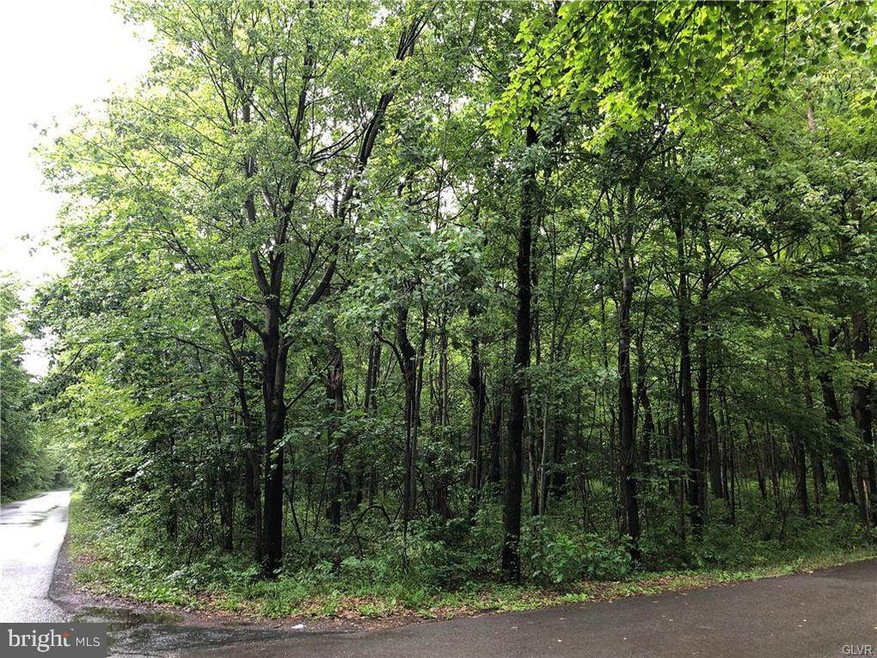 413 Cold Spring Dr, Jim Thorpe, PA 18229 - photo 1