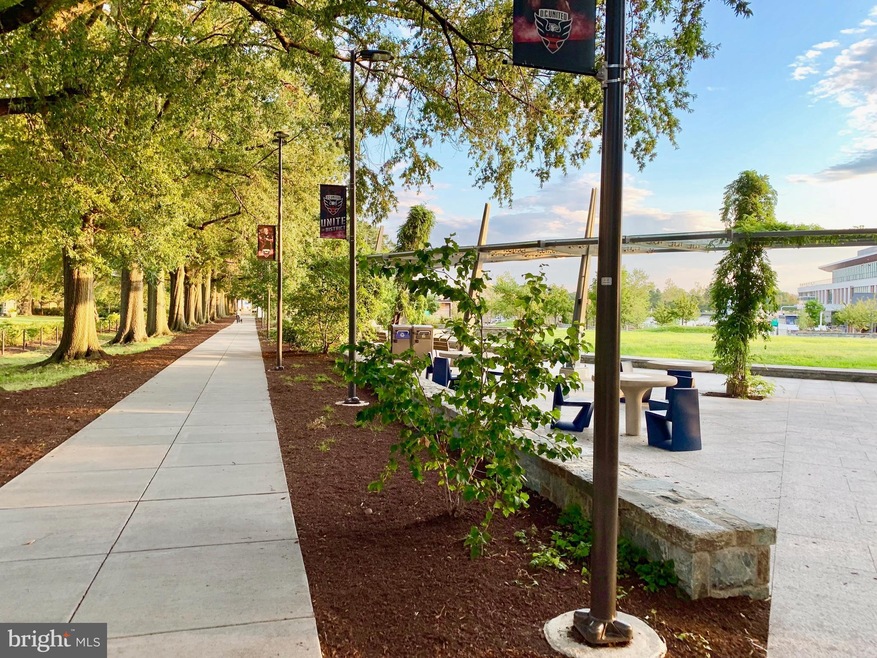 Tiber Island unit W103, Washington, DC 20024 - photo 1