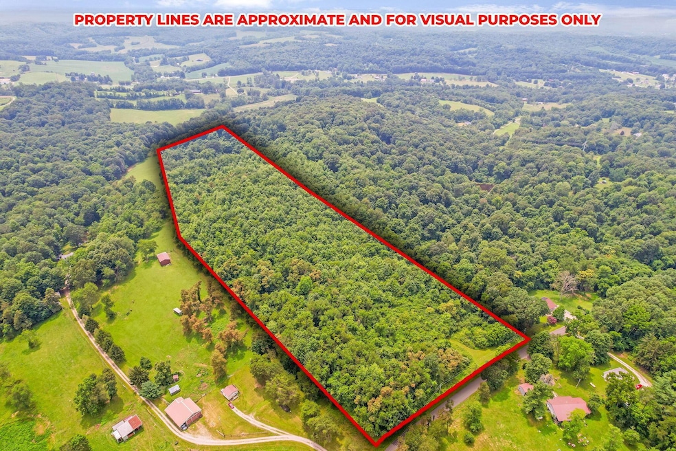 6063 Pleasant Chapel Rd Land 1