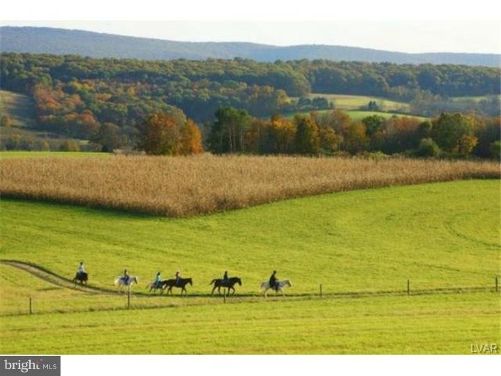 88 Arrow Rd, New Ringgold, PA 17960 - photo 1