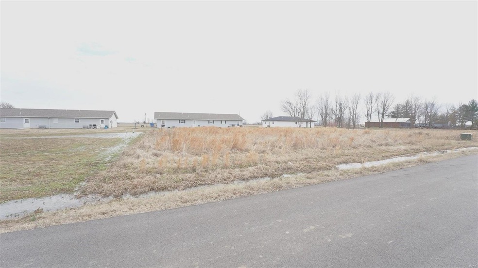 0 Mcnair St unit MAR25008358, Dexter, MO 63841 - photo 1