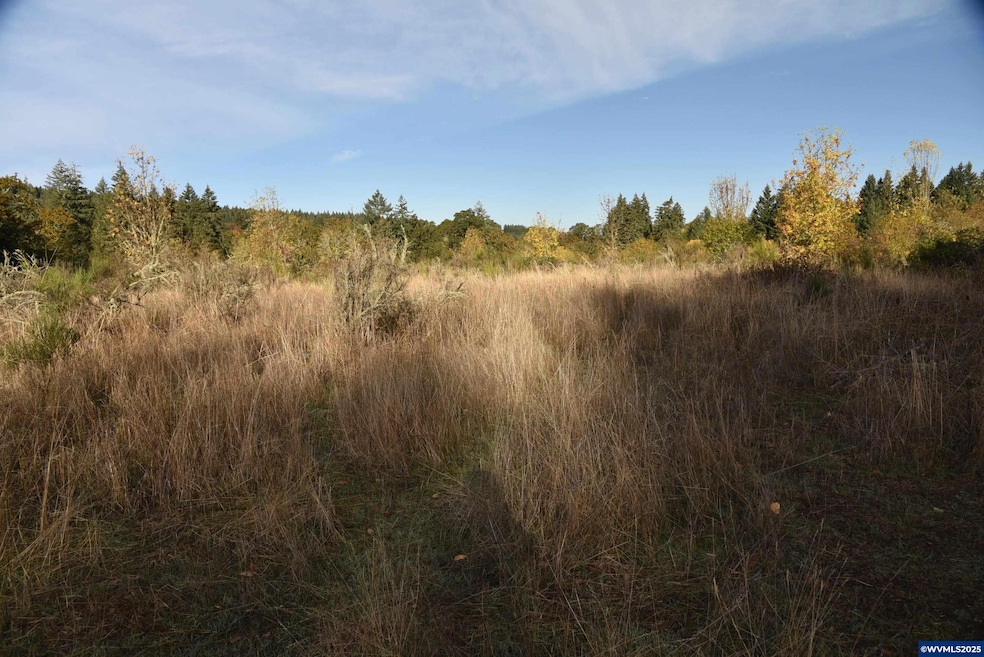 00 Mill Creek Rd, Sheridan, OR 97378 - photo 1