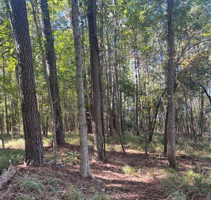 rileyrd1