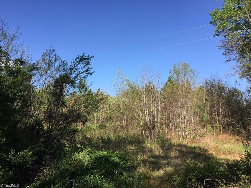 1 Picketts Mill Rd, Seagrove, NC 27341 - photo 1