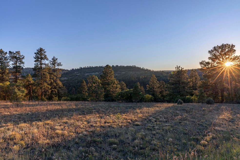 LandSunset