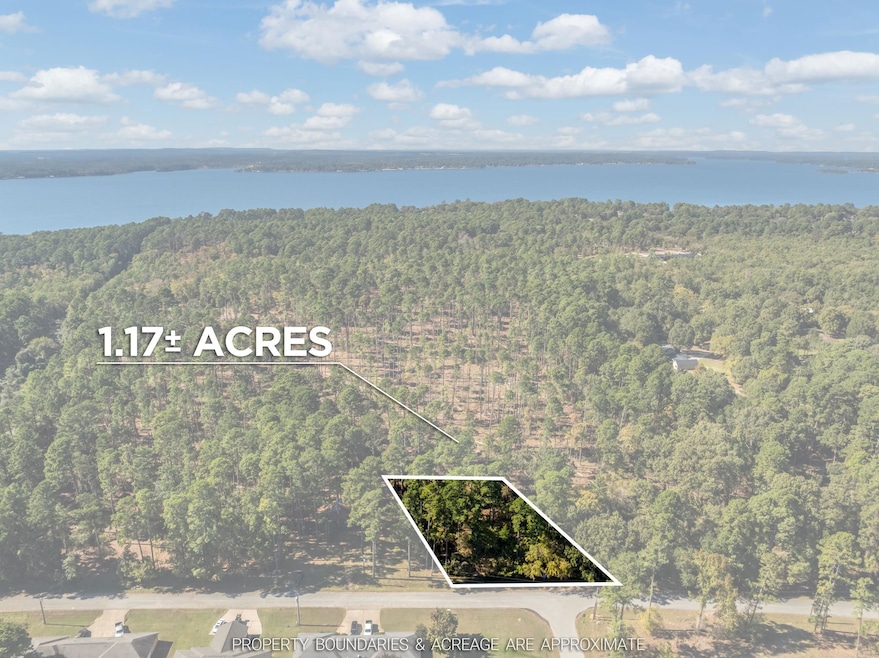 0 Pintail Lot 3, Flint, TX 75762 - photo 1