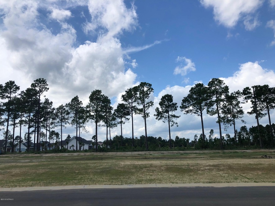 5322 Barcroft Lake Dr, Leland, NC 28451 - photo 1