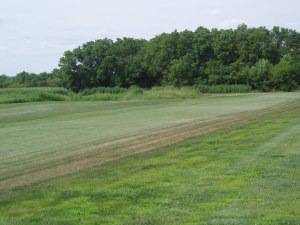 0 Co Rd X17 unit 12-957, Columbus Junction, IA 52738 - photo 1