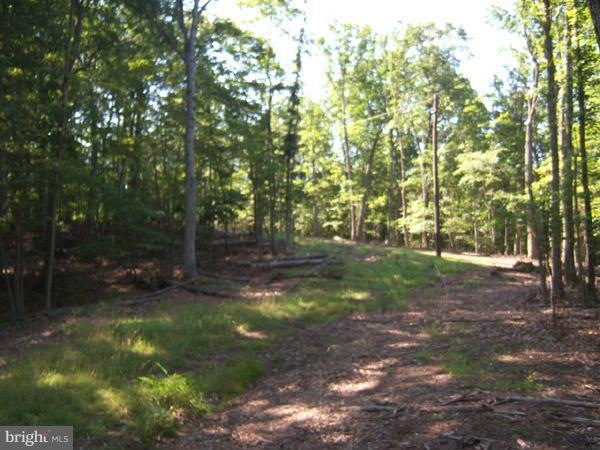 0 Magnolia Rd unit 1001180023, Great Cacapon, WV 25422 - photo 1
