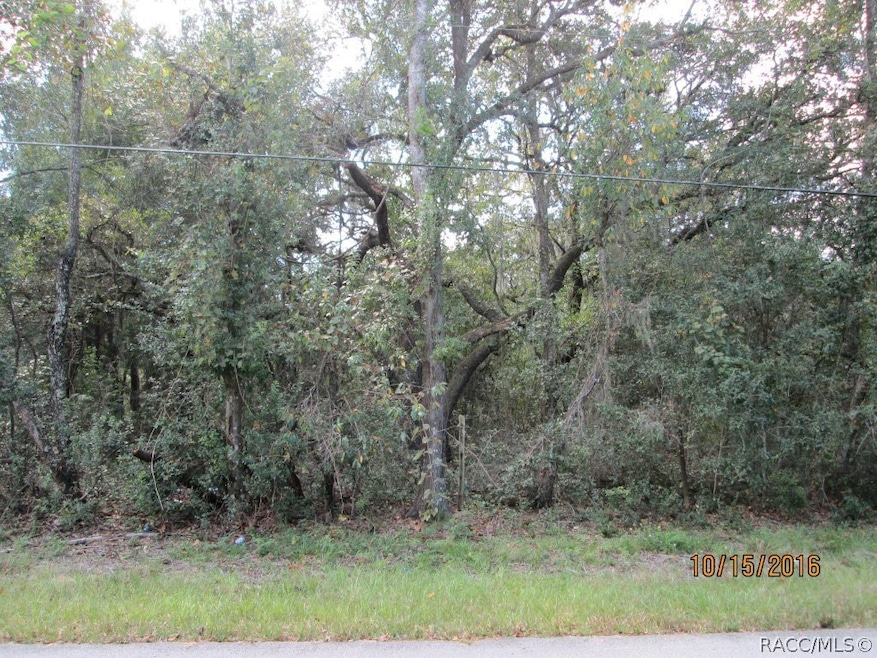 1630 E Sheridan Ln, Hernando, FL 34442 - photo 1