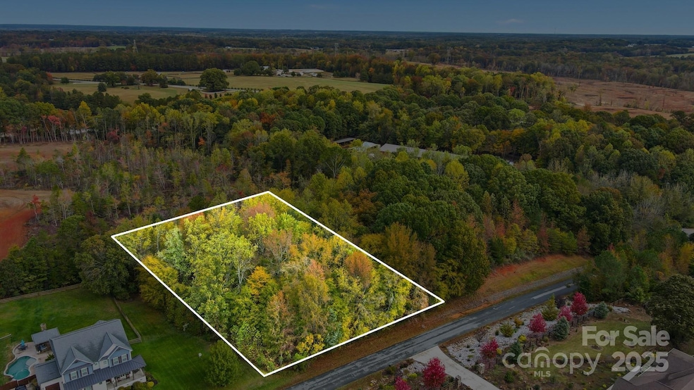 6918 My Lady's Way, Waxhaw, NC 28173 - photo 1