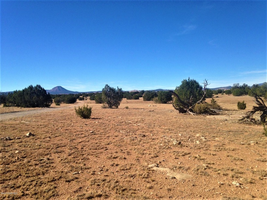 10 Off of Tanner Rd, Ash Fork, AZ 86320 - photo 1