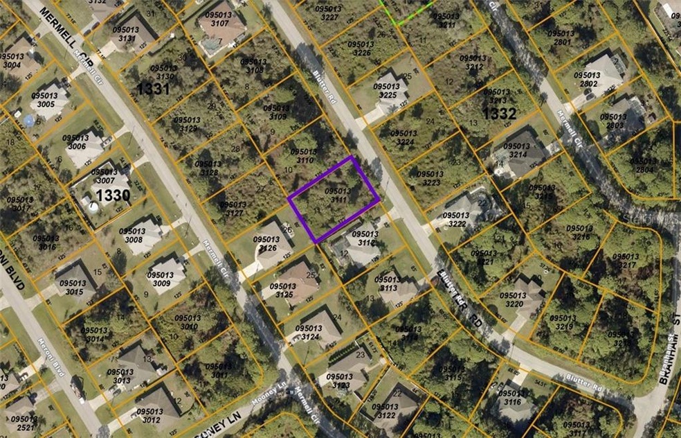 County map of lot