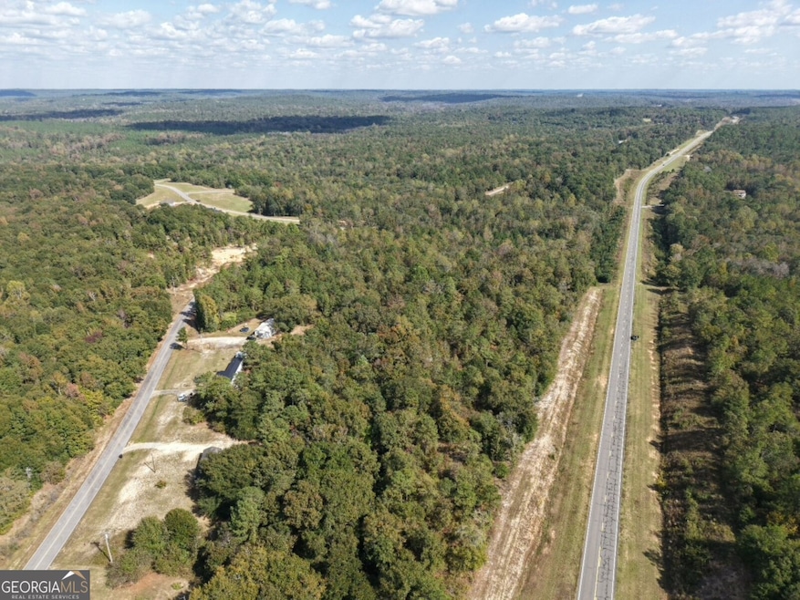 412 Georgia 137, Cusseta, GA 31805 - photo 1