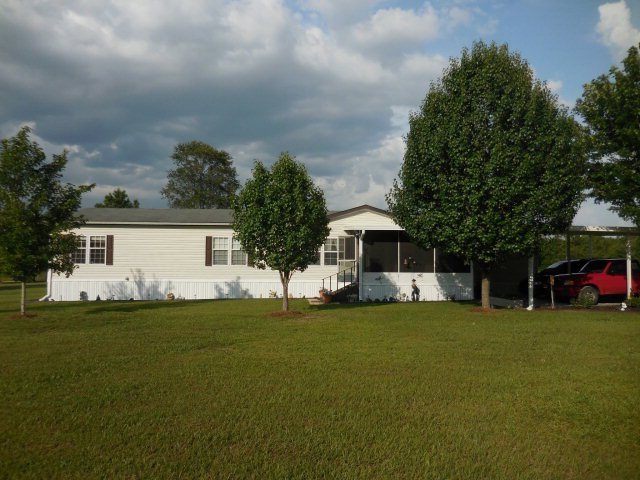 Main View