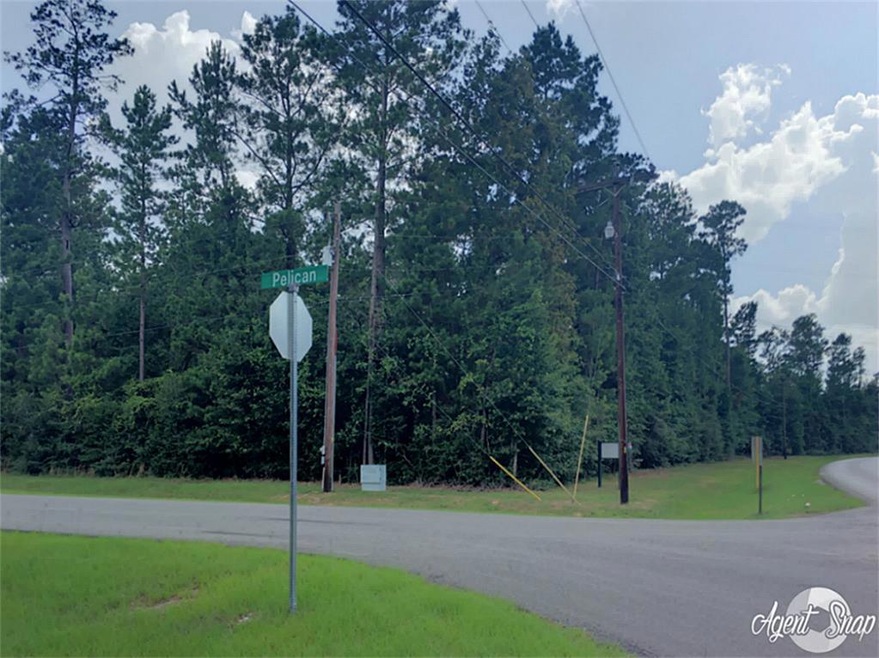 0 Pelican St unit 46315191, Magnolia, TX 77355 - photo 1