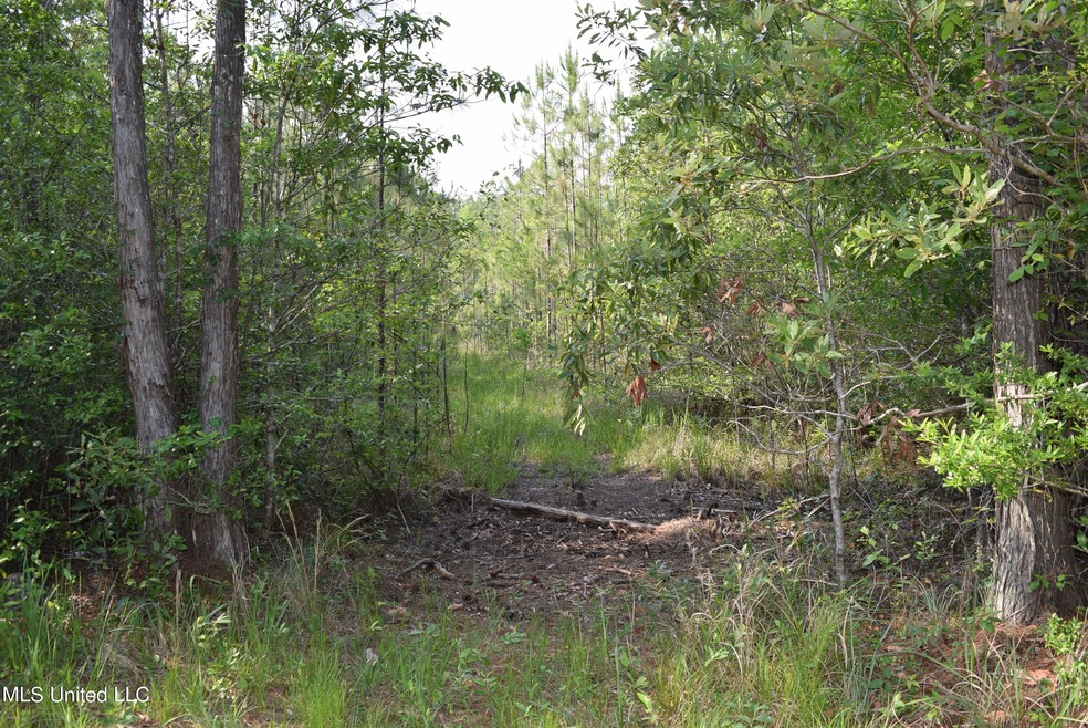 00 Avocado St, Bay Saint Louis, MS 39520 - photo 1