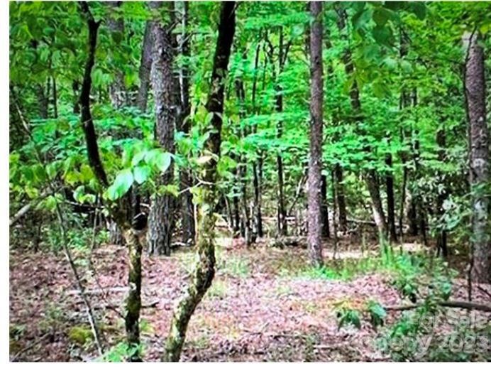 0 Sanderling Ct unit CAR4056033, Lake Lure, NC 28746 - photo 1