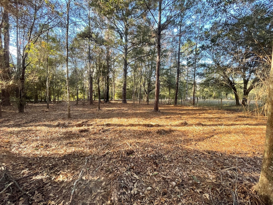 1555 Hwy 177a, Bonifay, FL 32425 - photo 1