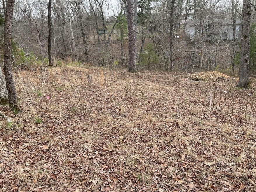 13 Byland Ln, Bella Vista, AR 72715 - photo 1