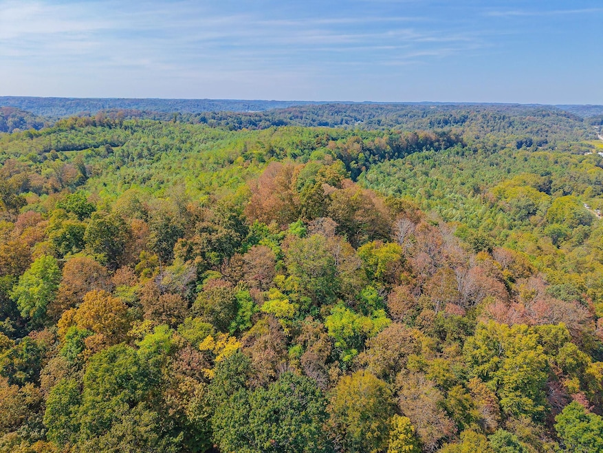 State Route 124, Pomeroy, OH 45769 - photo 1