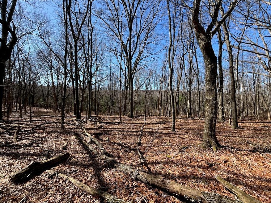 0 Clamtown Rd, New Ringgold, PA - photo 1