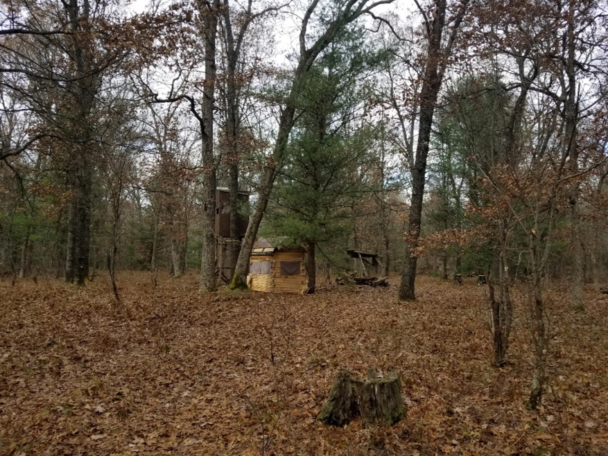 VL Par 11 W 8th St, Baldwin, MI 49304 - photo 1