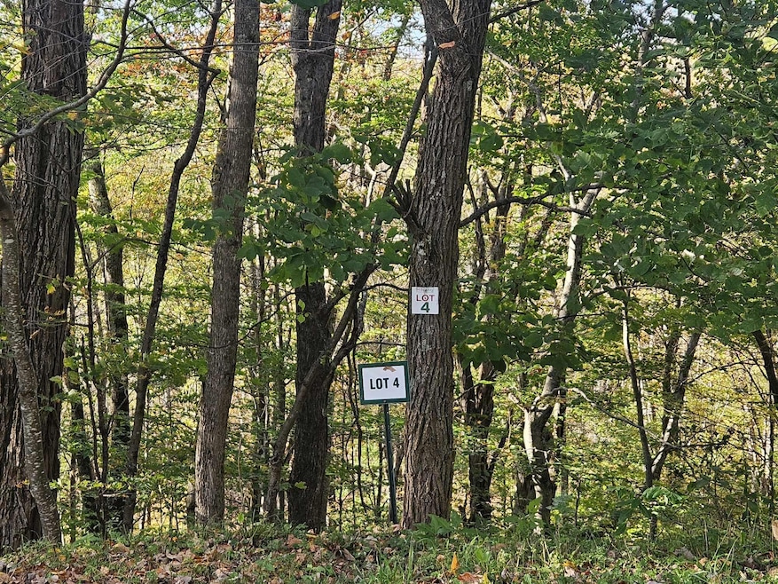 Lot 4