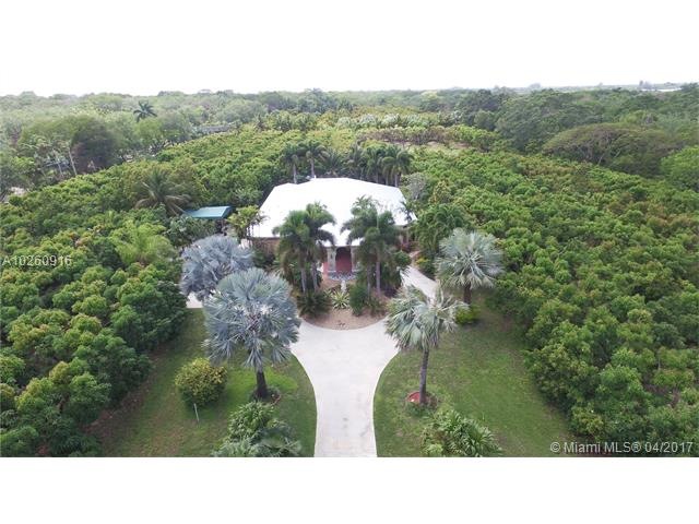 5 acres with approx. 250 avocado trees, long drive