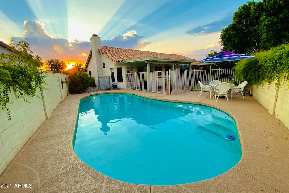 Backyard Oasis
