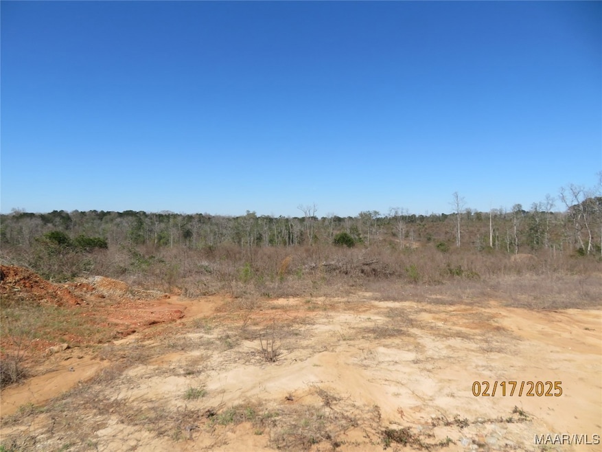 0 Old Salem Rd, Enterprise, AL 36330 - photo 1