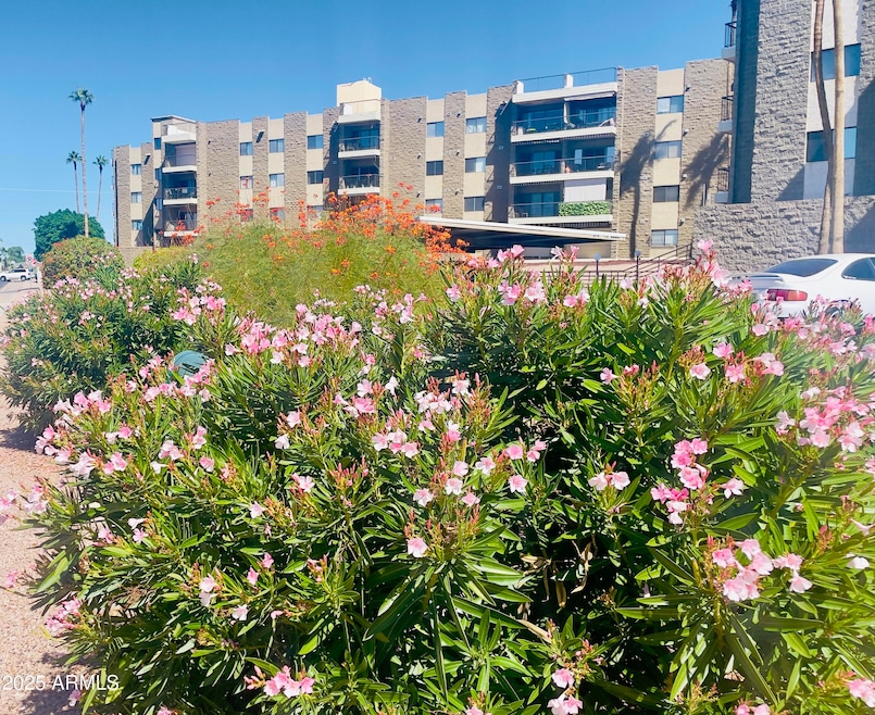 425 S Parkcrest unit 322, Mesa, AZ 85206 - photo 1