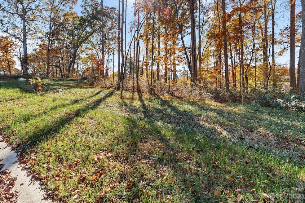 47 Scott Meadows Dr, Asheville, NC 28806 - photo 1