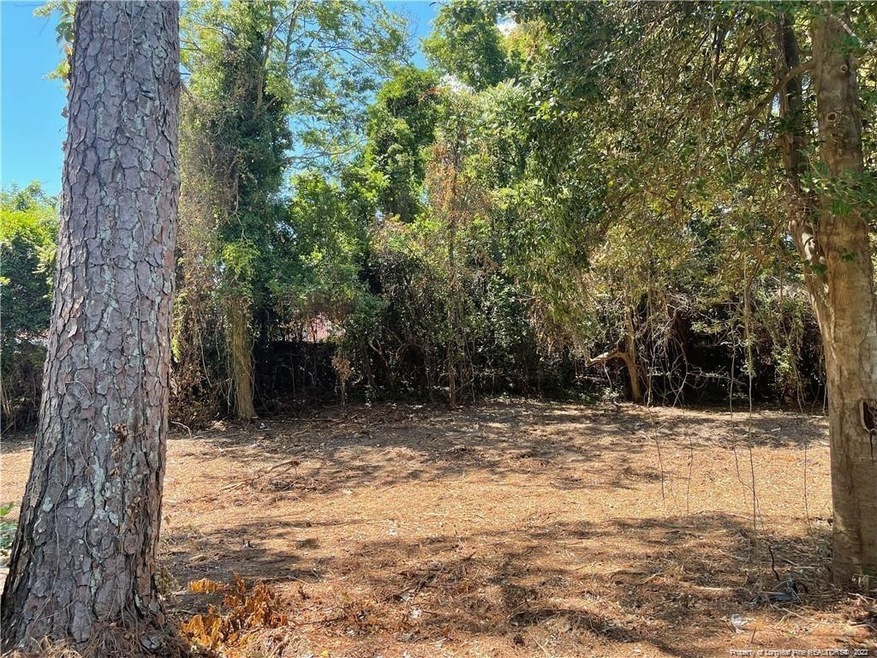 1156 Fay Hart Rd, Fayetteville, NC 28306 - photo 1