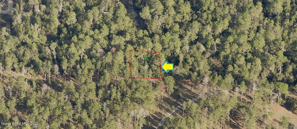 2811 Kerry St, Inverness, FL 34452 - photo 1