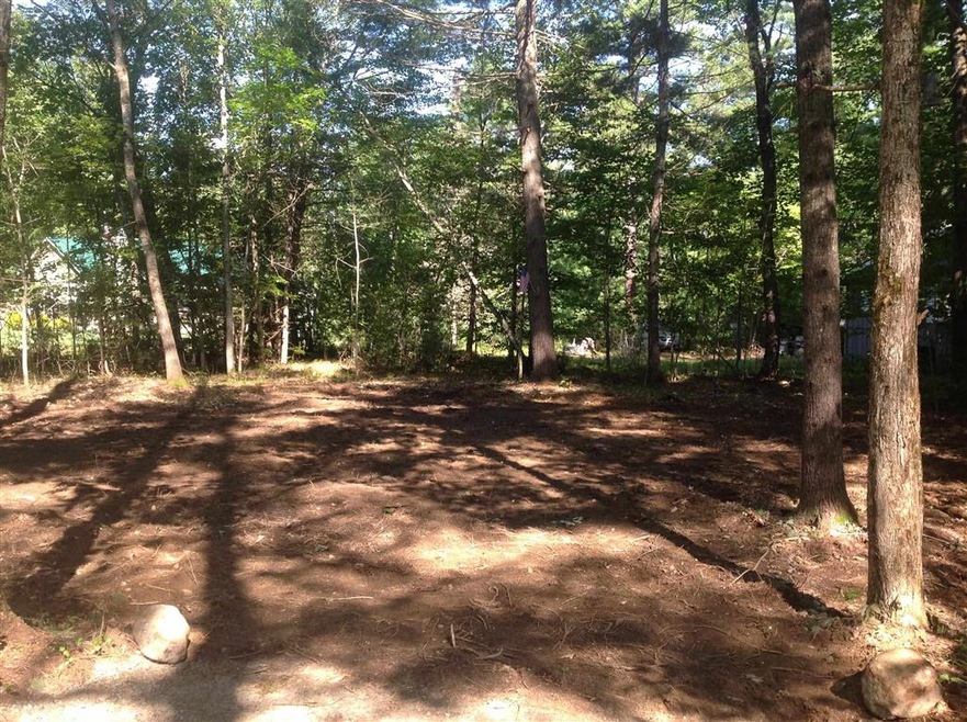 0 Birchwood Farm Rd, Freedom, NH 03836 - photo 1