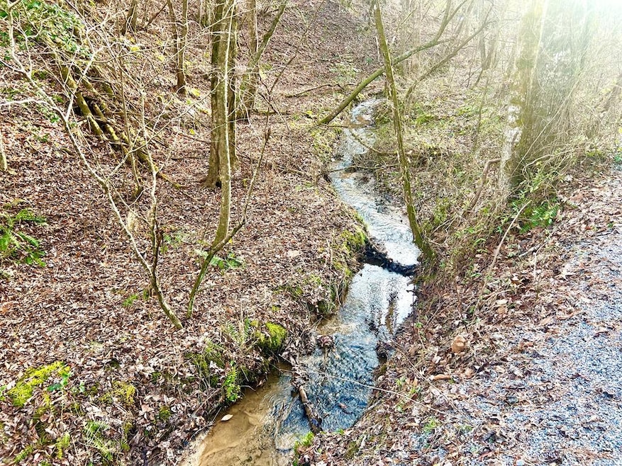 12 ACRE Pleasant Gap Rd, Ellijay, GA 30540 - photo 1