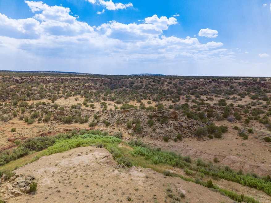 95 Cliff Thorn Rd, Quemado, NM 87829 - photo 1